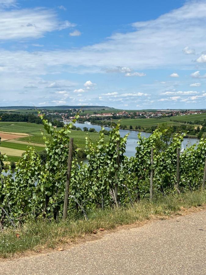 Loft Wohnung Appartement Auf 2 Etagen, Naehe Neckar Neckarwestheim Esterno foto