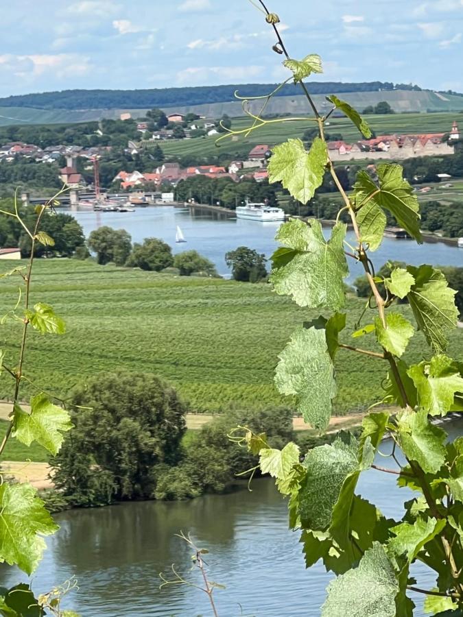 Loft Wohnung Appartement Auf 2 Etagen, Naehe Neckar Neckarwestheim Esterno foto