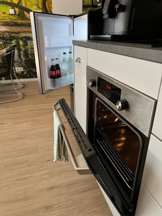 Loft Wohnung Appartement Auf 2 Etagen, Naehe Neckar Neckarwestheim Esterno foto